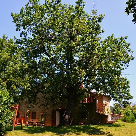 Bed and Breakfast Il Venaio Massa Marittima Exteriér fotografie
