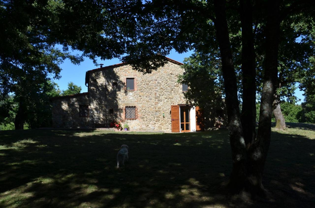 Bed and Breakfast Il Venaio Massa Marittima Exteriér fotografie