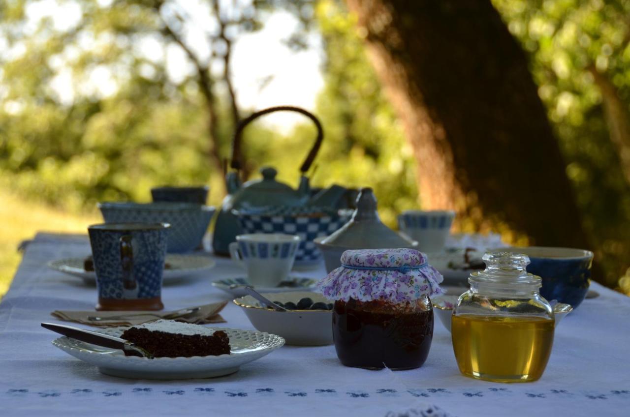 Bed and Breakfast Il Venaio Massa Marittima Exteriér fotografie