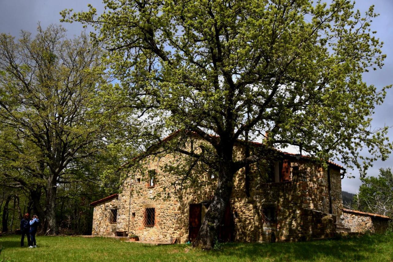 Bed and Breakfast Il Venaio Massa Marittima Exteriér fotografie