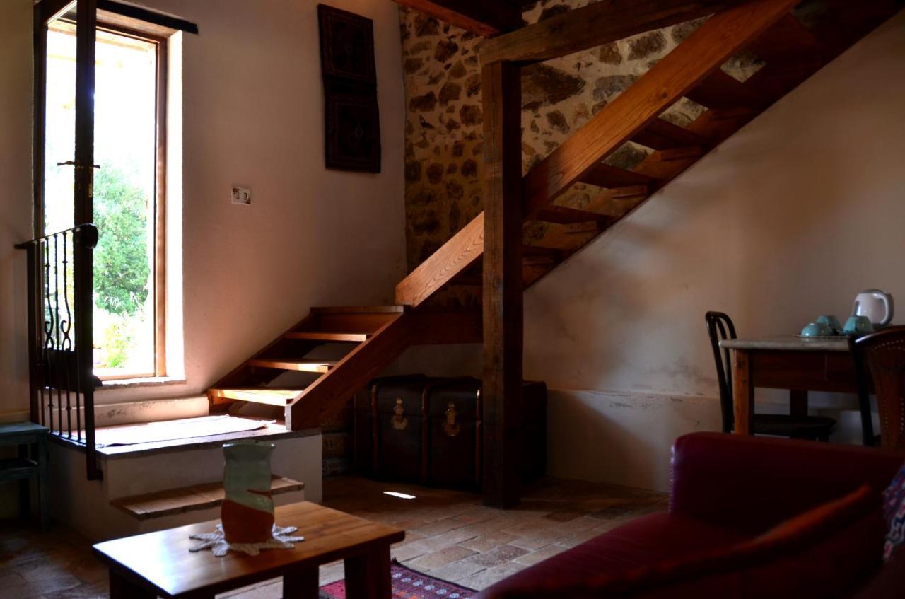 Bed and Breakfast Il Venaio Massa Marittima Exteriér fotografie