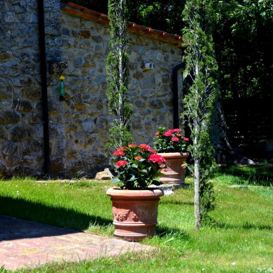 Bed and Breakfast Il Venaio Massa Marittima Exteriér fotografie