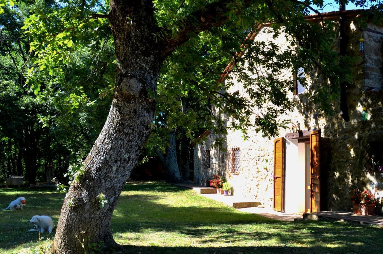 Bed and Breakfast Il Venaio Massa Marittima Exteriér fotografie
